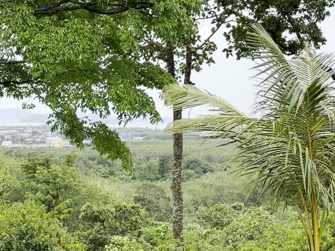 Hilltop Land in Manik