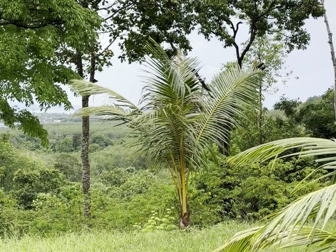 Hilltop Land in Manik – 5.9 Rai – photo 6