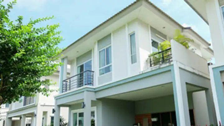 The Plant Kathu-Patong